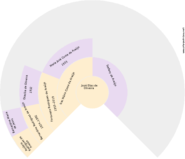 Marcelo Naufal Gráfico de Ascendência