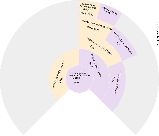 Antônio Lázaro da Silva Gráfico de Ascendência