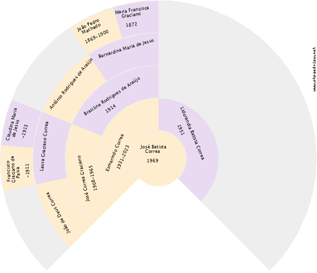Rosemilda Alves Camargo Gráfico de Ascendência