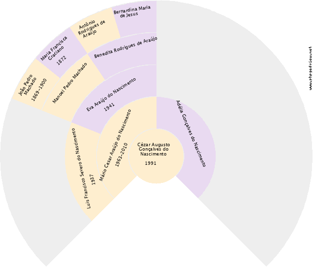 Valdeir dos Santos Rocha Gráfico de Ascendência