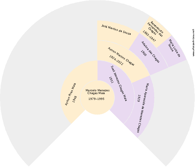 Vilma Figueiredo Fernandes Gráfico de Ascendência