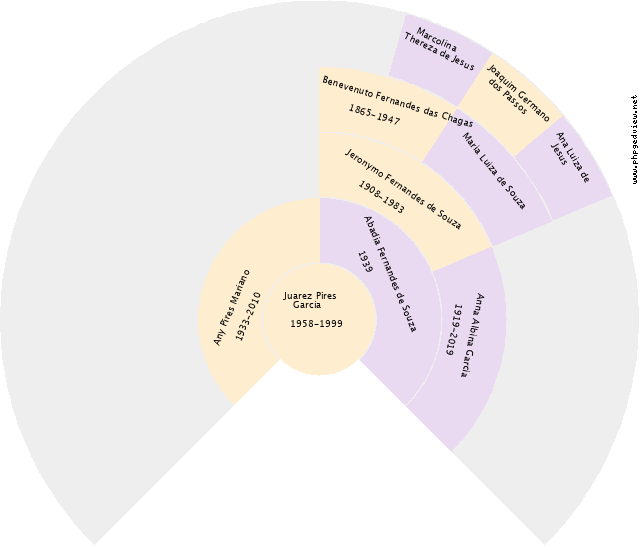 Ayrton Queiros da Silveira Gráfico de Ascendência