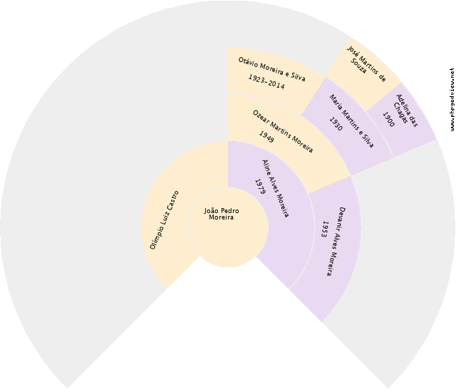 João Rosa Correa Gráfico de Ascendência
