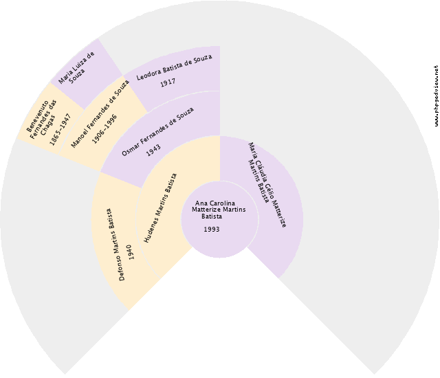 Vinicius Espíndula Luiz Gráfico de Ascendência