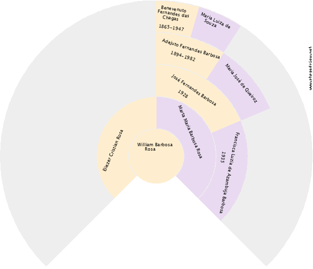 José Rodrigues Machado Gráfico de Ascendência