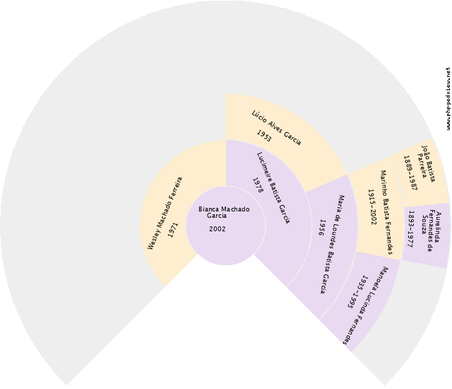 João Victor de Souza Machado dos Anjos Gráfico de Ascendência