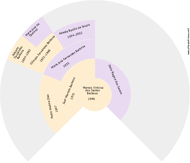 Antônio Pereira dos Anjos Gráfico de Ascendência