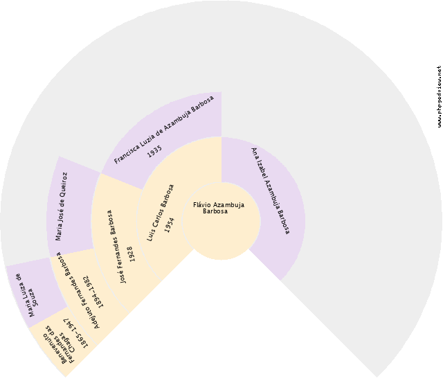 Pedro Faria da Silva Filho Gráfico de Ascendência